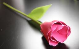 Metal Tulip, Pink Wedding Flower, Industrial, 11Th Anniversary, 6Th 4Th Flower