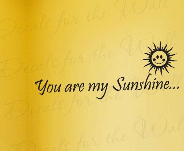 You My Sunshine Boy & Girl Room Kid Baby Nursery Decorative Vinyl Lettering Quote Large Wall Decal Art Sticker Decor Saying Decoration K40 - image 1
