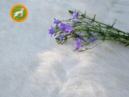 Handmade Icelandic Wool Blanket Shaggy Woven Throw, King/Queen Bedding - thumbnail 1