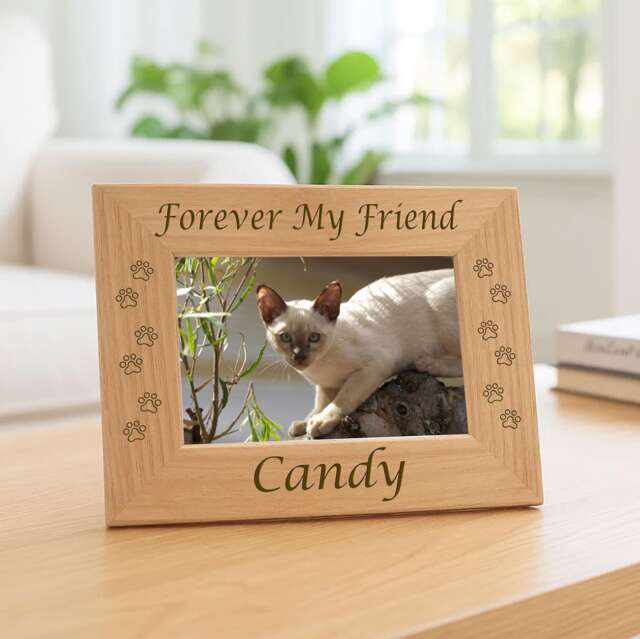 Personalized Cat Name Picture Frame Pet Memorial Keepsake Gift Laser Engraved Wooden Photo Display - image 1
