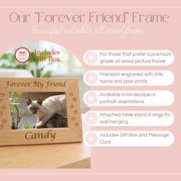 Personalized Cat Name Picture Frame Pet Memorial Keepsake Gift Laser Engraved Wooden Photo Display - thumbnail 2