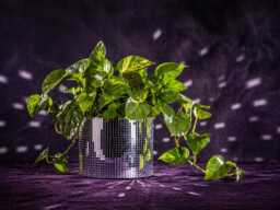 Disco Ball Planter, Mirror Tile Concrete Plant Pot, Suncatcher - thumbnail 1