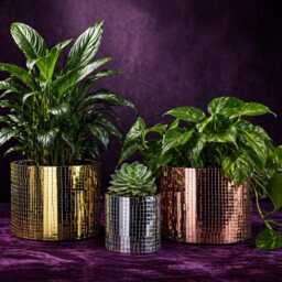 Disco Ball Planter, Mirror Tile Concrete Plant Pot, Suncatcher - thumbnail 2