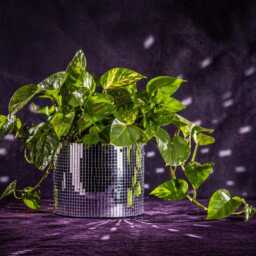 Disco Ball Planter, Mirror Tile Concrete Plant Pot, Suncatcher - thumbnail 3