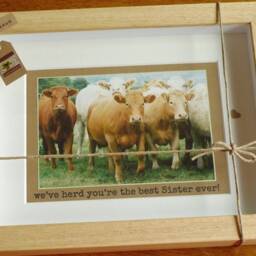 Herd Of Irish Cows - Fun Wall Art For Best Dad/ Mum/ Sister/ Brother/ Friend Handmade in Ireland - thumbnail 3