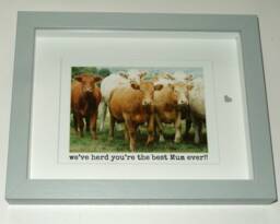 Herd Of Irish Cows - Fun Wall Art For Best Dad/ Mum/ Sister/ Brother/ Friend Handmade in Ireland - thumbnail 1