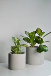 Minimalist Gray Concrete Planter Modern Industrial Home Decor - thumbnail 1