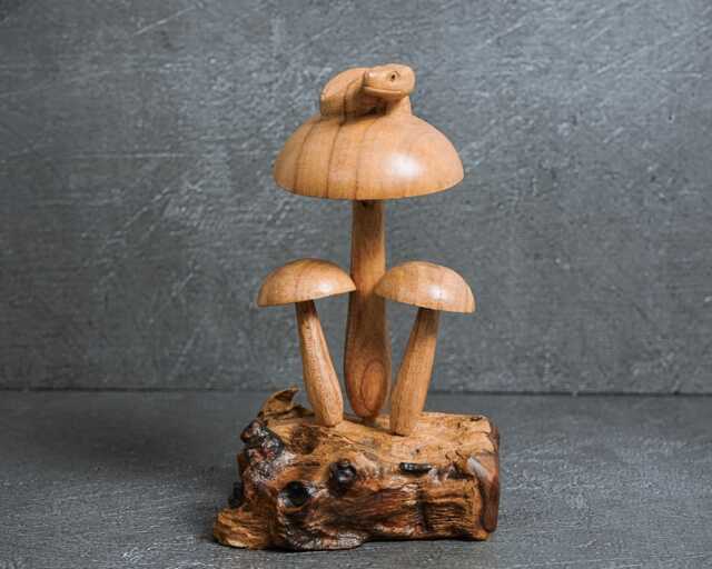 Snake & Mushroom Sculpture Wood Carving, Fungi Art 7.2 - image 1