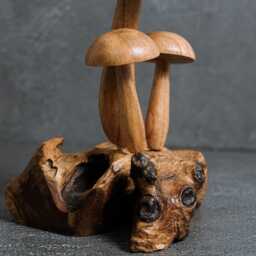 Snake & Mushroom Sculpture Wood Carving, Fungi Art 7.2 - thumbnail 4