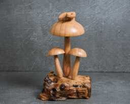 Snake & Mushroom Sculpture Wood Carving, Fungi Art 7.2 - thumbnail 1