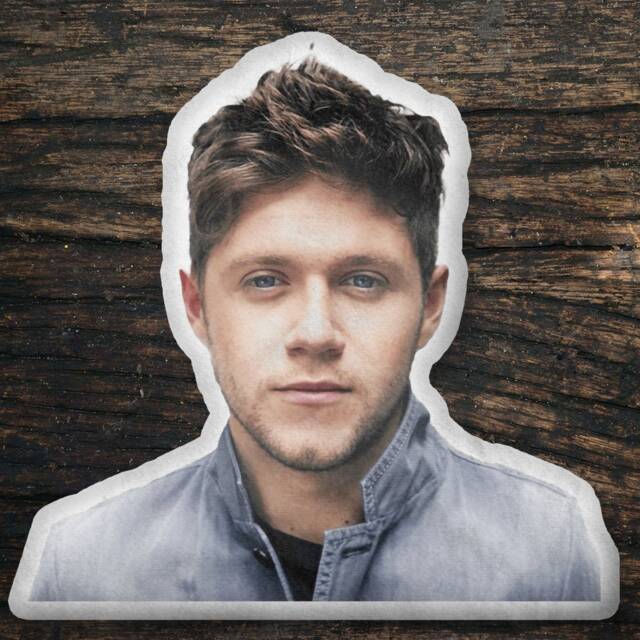 Niall Horan Custom Shaped Pillow, Shape Pillow Gift Idea, For Fans, Cool Idea Design - image 1