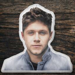 Niall Horan Custom Shaped Pillow, Shape Pillow Gift Idea, For Fans, Cool Idea Design - thumbnail 1