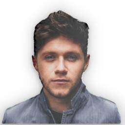 Niall Horan Custom Shaped Pillow, Shape Pillow Gift Idea, For Fans, Cool Idea Design - thumbnail 2