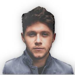 Niall Horan Custom Shaped Pillow, Shape Pillow Gift Idea, For Fans, Cool Idea Design - thumbnail 3