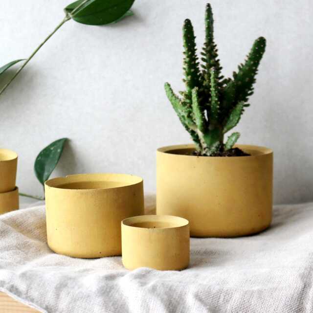Minimalist Concrete Planter Set Of 3 - Small Succulent Pots 2, 3, 4 Inch Modern Indoor Gardening Decor Grey, Yellow, Red, Anthracite - image 1