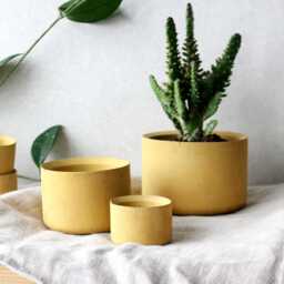 Minimalist Concrete Planter Set Of 3 - Small Succulent Pots 2, 3, 4 Inch Modern Indoor Gardening Decor Grey, Yellow, Red, Anthracite