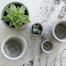 Minimalist Concrete Planter Set Of 3 - Small Succulent Pots 2, 3, 4 Inch Modern Indoor Gardening Decor Grey, Yellow, Red, Anthracite - thumbnail 3