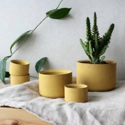 Minimalist Concrete Planter Set Of 3 - Small Succulent Pots 2, 3, 4 Inch Modern Indoor Gardening Decor Grey, Yellow, Red, Anthracite - thumbnail 4