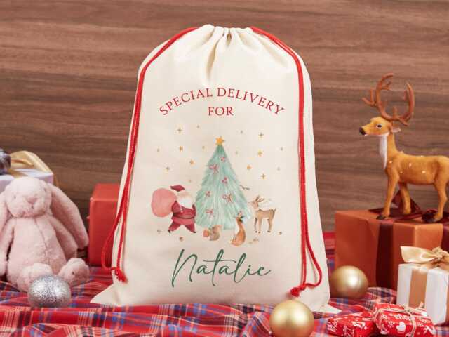 Personalised Santa Sack, Custom Name Christmas Stocking, Eve Bag, Family Gift, Gifts For Girl Boy - image 1