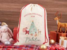 Personalised Santa Sack, Custom Name Christmas Stocking, Eve Bag, Family Gift, Gifts For Girl Boy
