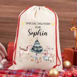 Personalised Santa Sack, Custom Name Christmas Stocking, Eve Bag, Family Gift, Gifts For Girl Boy - thumbnail 4