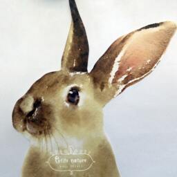 Rabbit, Watercolor Wall Sticker, Bunny Decal, Woodland Animal, Nursery Decor, Hare Decal - thumbnail 2