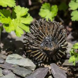 Hand Crafted Recycled Metal Hedgehog Sculpture. Garden Decor. Statue - thumbnail 2