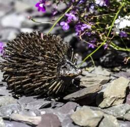 Hand Crafted Recycled Metal Hedgehog Sculpture. Garden Decor. Statue - thumbnail 1