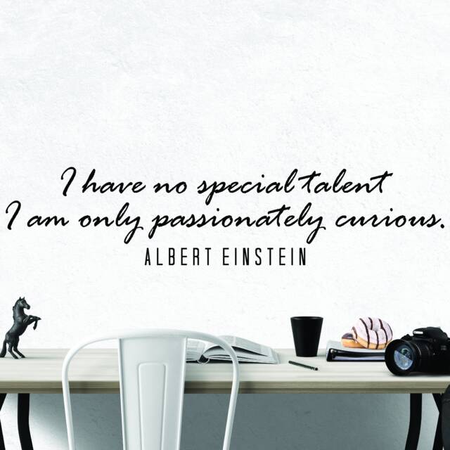 Albert Einstein Talent Inspirational Motivational Wall Decal Quote Art For Home Living Room Office Decor Decorations 42x10 Inches - image 1