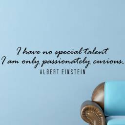 Albert Einstein Talent Inspirational Motivational Wall Decal Quote Art For Home Living Room Office Decor Decorations 42x10 Inches - thumbnail 2