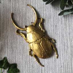 Large Beetle Wall Hanging, Bug Art, Insect Decor, Unusual Gift, Goth Gold Bug, Entomology Gift - thumbnail 4