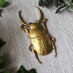 Large Beetle Wall Hanging, Bug Art, Insect Decor, Unusual Gift, Goth Gold Bug, Entomology Gift - thumbnail 2