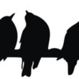 A Flock Of Birds Sitting On Electric Wires Vinyl Wall Ceiling Decal Silhouettes Sticker - thumbnail 2