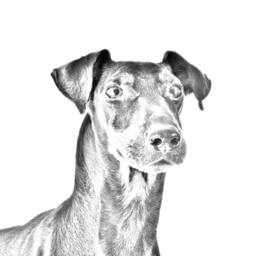 Manchester Terrier - Wooden Stand For Candles/Pens With The Image Of A Dog New Collection - thumbnail 2