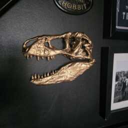 Tyrannosaurus Rex Half Skull Wall Decor - Dinosaur Home Decor 3D Printed - thumbnail 1