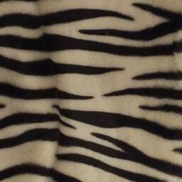 Velvet Letigre Pillow, Cheetah Pillow Case, Zebra Safari Animal Print, Jungle Pillow, Tigers Eye Spotted Leopard - thumbnail 3