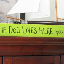 The Dog Lives Here You Don't-Dog Or Cat Lover Hand Painted Sign - thumbnail 2