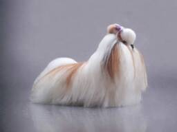 Example. Shih Tzu Dog Figurine Miniature Felted Realistic Sculpture Handmade Ooak Made To Order