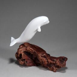 Beluga By John Perry Pellucida Sculpture On Polished Burlwood Base. 6In Long. Signed - thumbnail 3