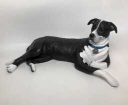 Custom Clay Pet Sculpture Staffordshire Bull Terrier Memorial - thumbnail 1