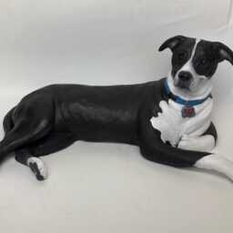 Custom Clay Pet Sculpture Staffordshire Bull Terrier Memorial - thumbnail 2