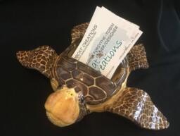 Sea Turtle Kemp's Ridley Tortoise Loggerhead Baby Business Card Holder - thumbnail 1
