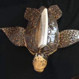 Sea Turtle Kemp's Ridley Tortoise Loggerhead Baby Business Card Holder - thumbnail 2