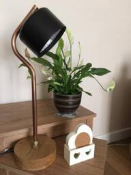 Industrial Style Desk Lamp With Hardwood Base
