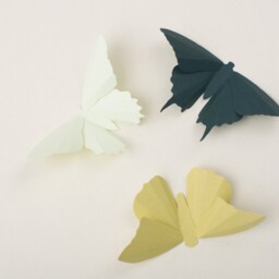 3D Wall Butterflies Butterfly Art For Nursery, Girl's Room, Classroom Or Home Decor in Honeydew, Anise & Pine Green - thumbnail 2