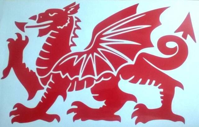 Welsh Dragon Decal Sticker Vinyl Car Bonnet Side Wall Art Graphic Silhouette Van Lorry Motorhome Campervan Tribal Wales