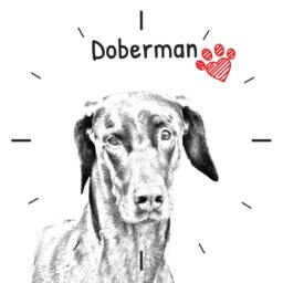 Dobermann Uncropped, Free Standing Mdf Floor Clock With An Image Of A Dog - thumbnail 2