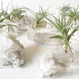Clear Quartz Crystal Air Plant Holder Minimalist Desk Decor - thumbnail 3