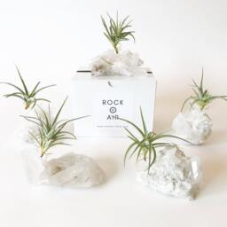 Clear Quartz Crystal Air Plant Holder Minimalist Desk Decor