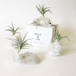 Clear Quartz Crystal Air Plant Holder Minimalist Desk Decor - thumbnail 2